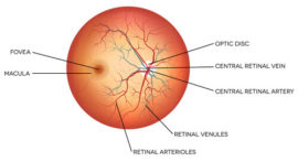retina center